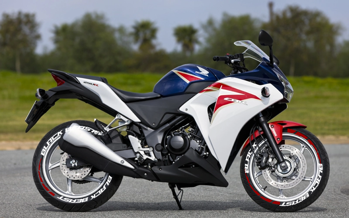 MOTORIK Blacklisted with g strips (R) For All Bikes | Set of 2 tyres both sides