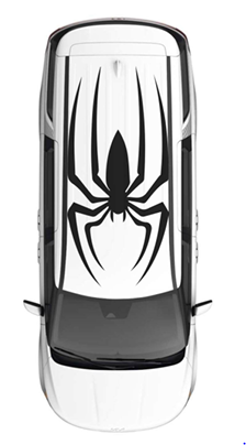 Spider roof car graphic featuring a bold spider design for a striking vehicle appearance