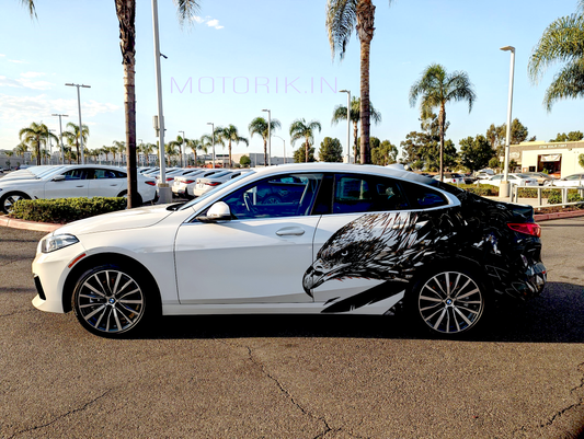 Motorik Eagle Car Graphics for all cars (Both Side & rear)